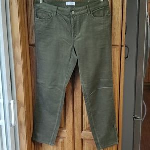 Women's Loft Corduroy Pants